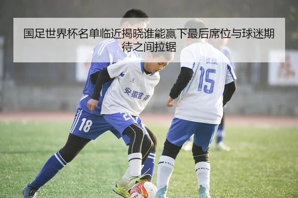 国足世界杯名单临近揭晓谁能赢下最后席位与球迷期待之间拉锯